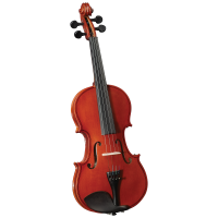 Cervini HV-100 Novice Violin Outfit Скрипка 3/4 в комплекте