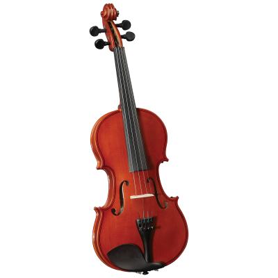 Cervini HV-100 Novice Violin Outfit Скрипка 1/2 в комплекте