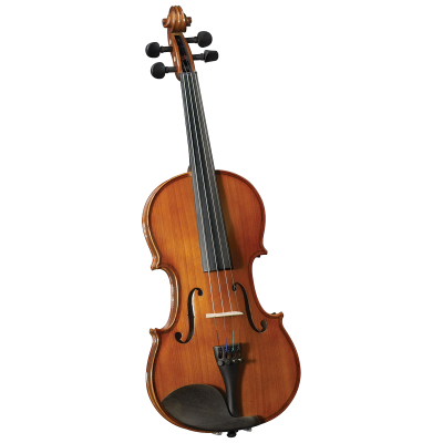 Cervini HV-200 Novice Violin Outfit Скрипка 4/4 в комплекте