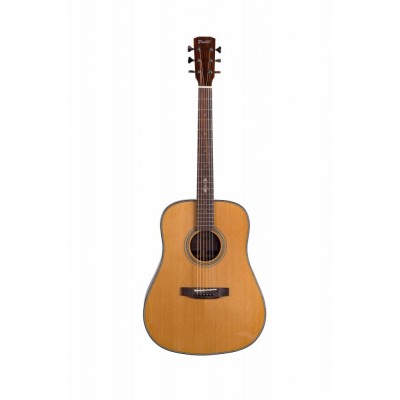 Prima DSAG219 Акустическая гитара