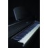 Gewa Digital Piano DP 220G White Matt Цифровое фортепиано