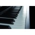 Gewa Digital Piano DP 220G Black Matt Цифровое фортепиано