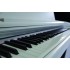 Gewa Digital Piano DP 240G Black Matt Цифровое фортепиано